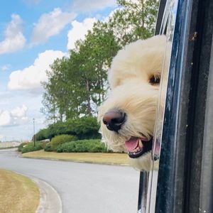 Meet your Posher, Kendall